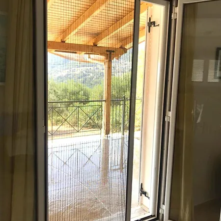 Under The Pine Tree * Divarata