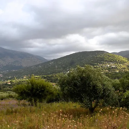 Under The Pine Tree Ferienhaus *