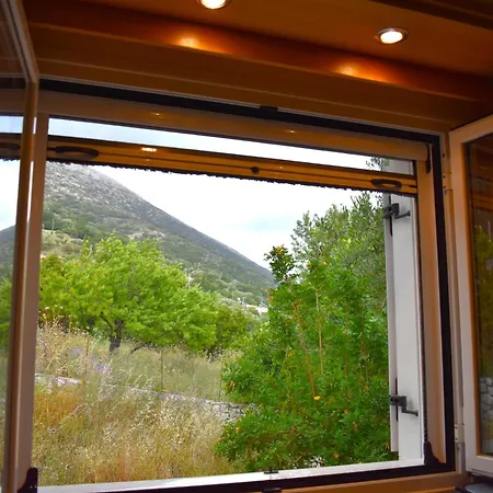 Under The Pine Tree Ferienhaus *