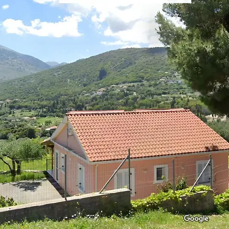 Under The Pine Tree *