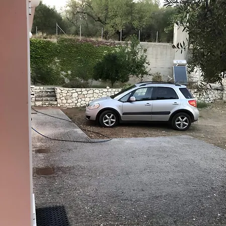 Under The Pine Tree *