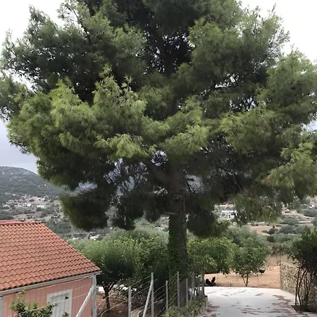 Feriehus Under The Pine Tree *